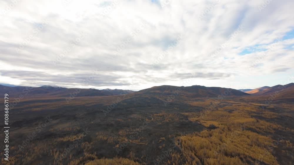 Experience the vast wilderness of Yakutia as a drone soars above golden autumn foliage and rugged terrain. The picturesque view showcases nature's beauty and serene isolation in this remote region. Experience the vast wilderness of Yakutia as a drone soars above golden autumn foliage and rugged terrain. The picturesque view showcases nature's beauty and serene isolation in this remote region.
