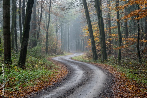 Serene Autumn Pathway Through a Misty Forest