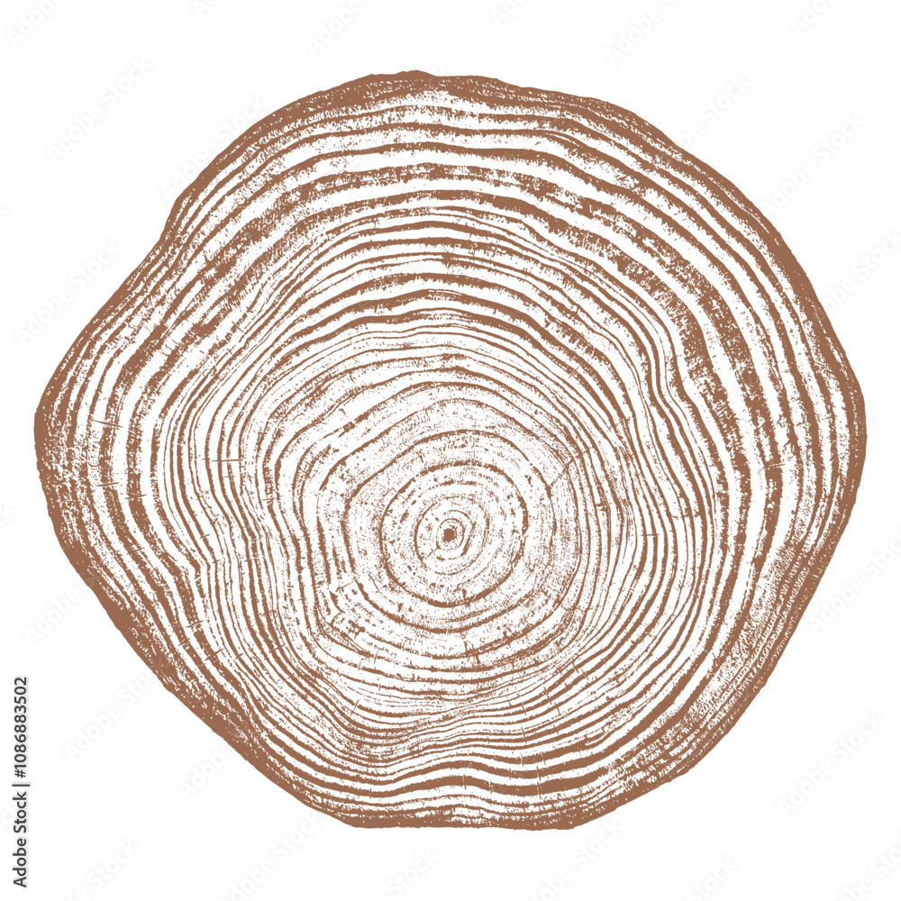 Tree wood texture. Wooden old trunk. Cut timber log. Abstract rings nature pattern. Brown circle stump. Wood cross section.