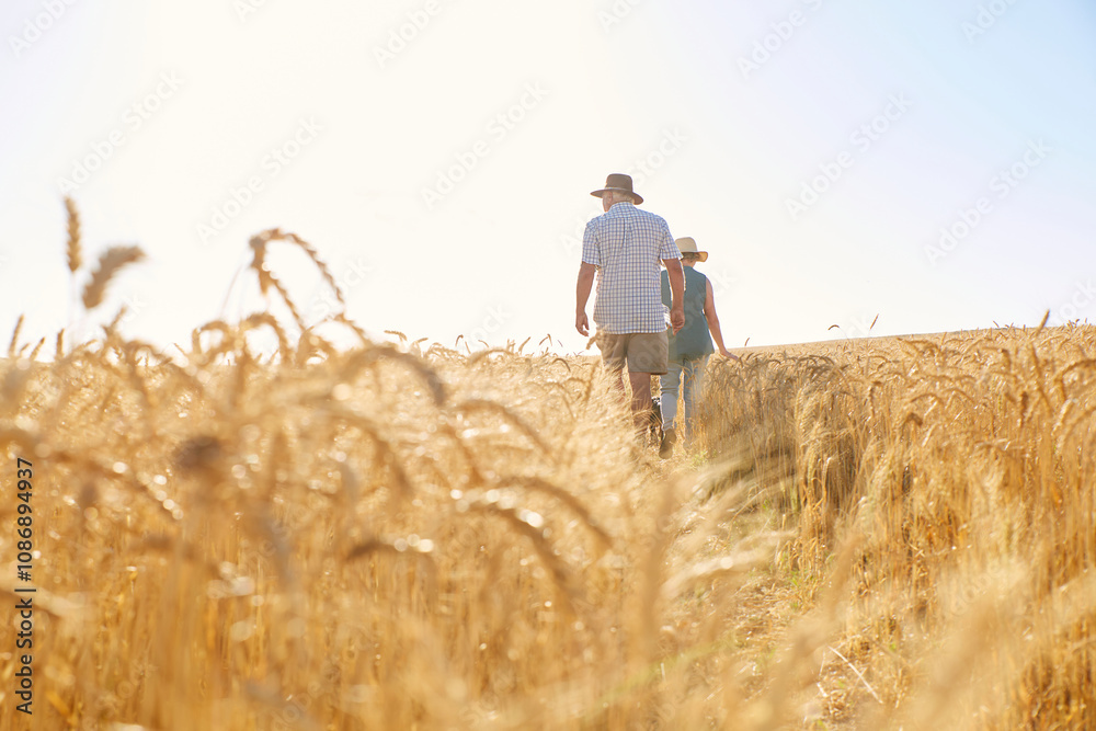 Senior man and woman walking in wheat field on sunny day Senior man and woman walking in wheat field on sunny day