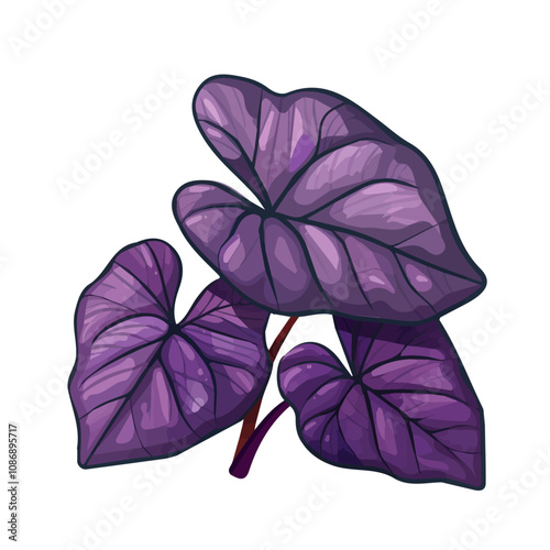 Simple flat 2D illustration of taro leaves isolated on a white background, vector, flat design, 2d flat design
