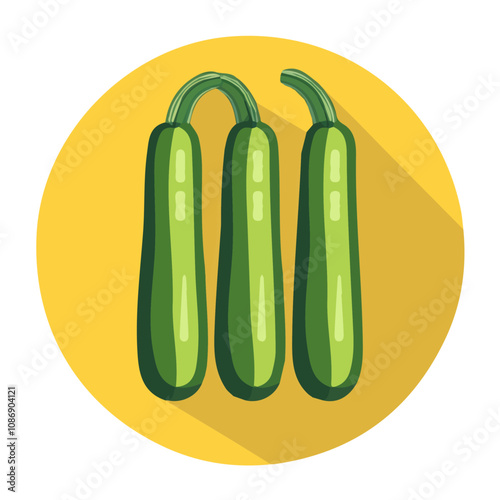 Simple flat 2D illustration of zucchini isolated on a white background, vector, flat design, 2d