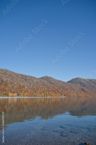 支笏湖の秋の紅葉