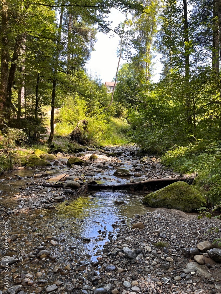 Obraz premium Hausbachklamm