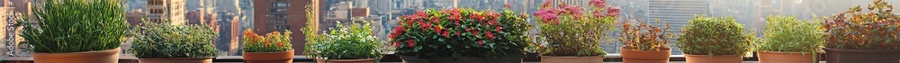 Vibrant Urban Balcony Garden with Colorful Potted Plants Vibrant Urban Balcony Garden with Colorful Potted Plants