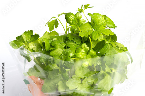 Fresh green parsley in plastic package grown in greenhouse isolated on white background. Studio shot
