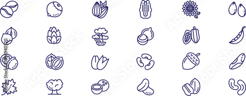 Nuts and seeds isolated icons set. Set of hazelnut, walnut, pumpkin seeds, peanuts .
