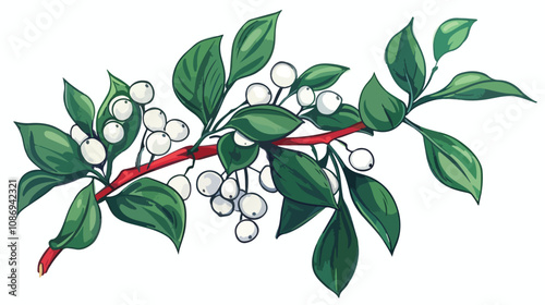 Christmas Mistletoe Bunch Vector Illustration
