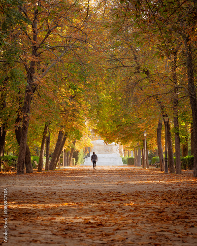 Autumn Stroll Through a Serene Tree-Lined Path