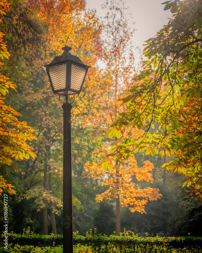 Vintage Lantern Amidst Autumn Colors in a Peaceful Park