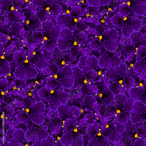 Vibrant Seamless Pattern of Purple Flowers with Yellow Stamens photo