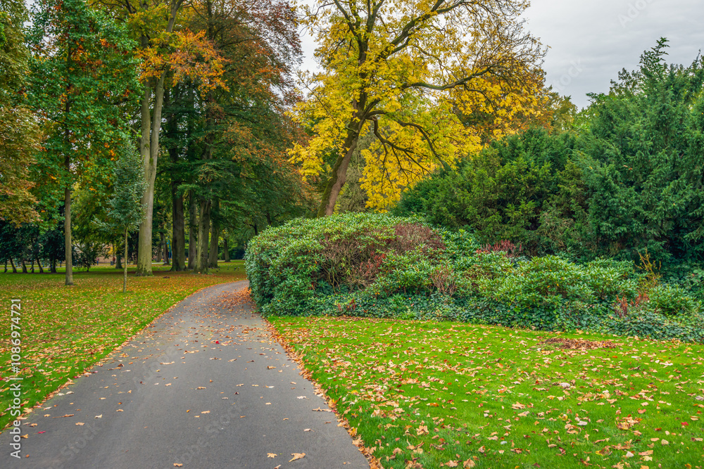 Path in a park. It is autumn and the colors are changing. Many leaves have already fallen to the ground.