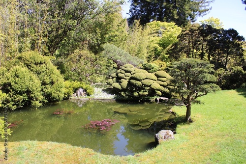 Japanese Tea Gardens San Francisco  photo