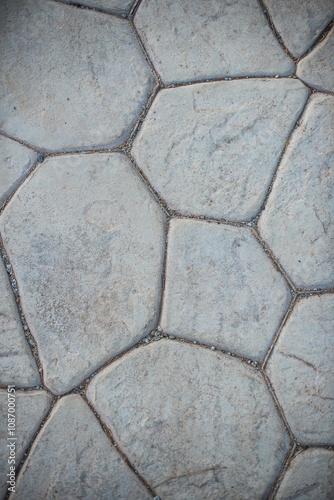 The ground is covered with hexagonal stone tiles, forming a textured pathway that adds character to an outdoor area under the warm sunlight