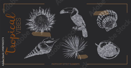 Tropical set with toucan, flowers, and palm leaves in art.