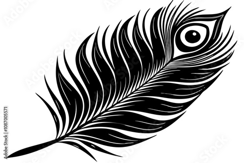 peacock feather black silhouette vector white background, feather black silhouette vector icon,peacock feather black silhouette vector white background,black and white Peacock feather Silhouette.