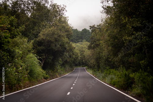 Carretera Isla de la Palma, Canarias photo