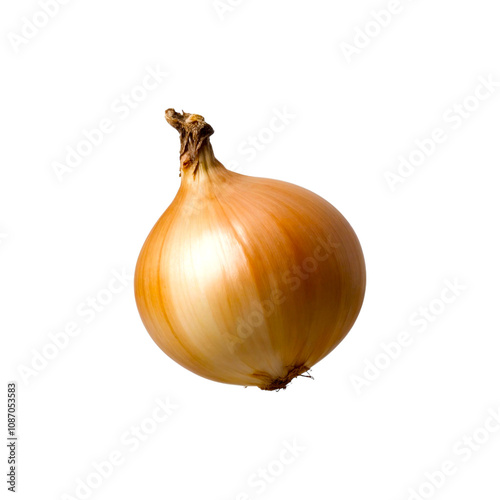 Wallpaper Mural White onion isolated on transparent background. white onion png Torontodigital.ca