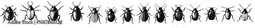 An icon set of insect bug silhouettes with a white background, a large pack of modern silhouette designs