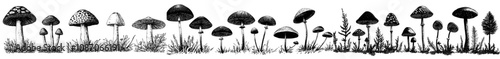 This is a large pack of modern mushroom silhouette designs set on a white background.