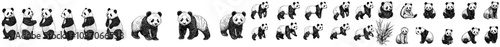 Modern panda silhouettes set, isolated white background with a large pack of silhouette designs.