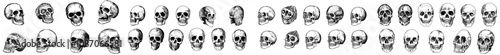 There are a lot of different skull silhouettes in this set, each with a unique design, isolated on a white background.