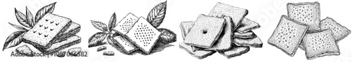 Simple flat illustration of crystal sugar sprinkled on biscuit crackers.