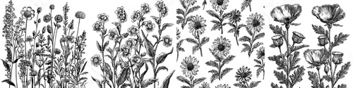An endless texture of floral seamless patterns, repeating backgrounds. Field flowers, summer blooms, branches, tiny wildflowers.