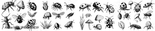 Web Header Banner Design With Creepy, Insect, Bug, Grass, Nature Simple Black Style Symbol Sign, Modern Illustration, For Apps And Websites