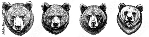 An illustration of a bear face in a wildlife environment with a bold design and detailed details
