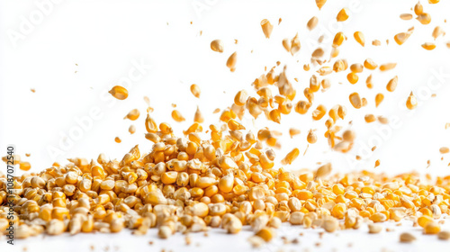 Falling corn seeds isolated on white background with clipping path