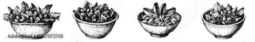 A hand drawn sketch of a bowl of vegetables and salad in ink. The image is rendered in an engraving style.