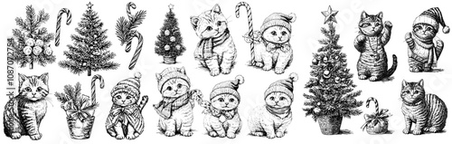 Holiday kitten in a xmas outfit, cute pets in ornamental sweaters and scarves. Isolated nowaday winter animals.