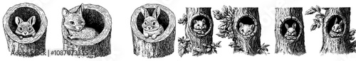 There are forest animals living inside holes and burrows. A hole in the earth, a bear hibernating, a mouse, a red fox and an owl. Deers peeking out and a modern set with modern elements with today's