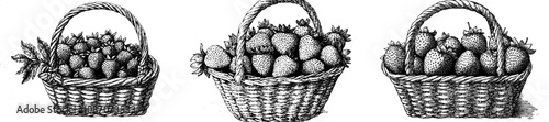 Drawing of a blackberry in a basket made with ink and an engraved style.