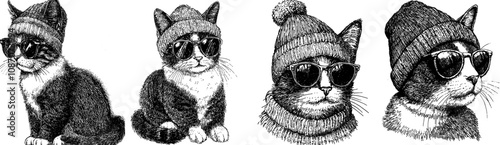 The Palla's cat artwork features a silhouette kitten, sunglasses, and a hipster hat as part of the vintage engraving. photo