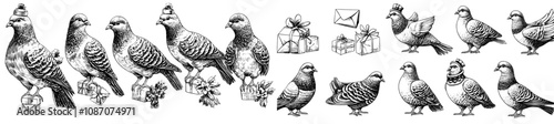 Yummy cartoon dove courier with parcel and envelopes. Funny isolated pigeons clipart. Retro mail delivery and communication, nowaday modern set.