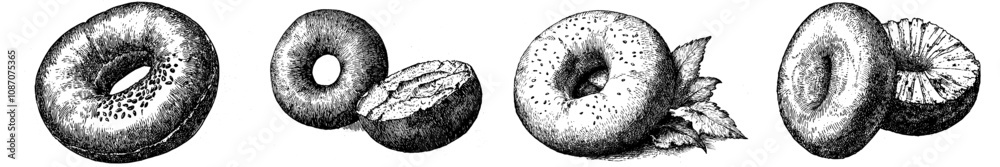 An engraved bagel sketch drawing in the American style. An engraved bagel sketch drawing in the American style.