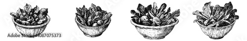 Veggie salad on a plate. Modern sketch illustration of a bowl of salad.