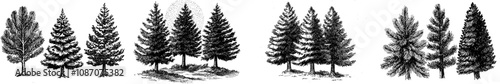 This simple modern tree pine pack is based on a sketch of a spruce tree in an engraving style silhouette.