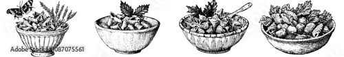 Sketch illustration of healthy vegetable salad on a plate.