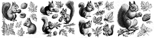 A cute cartoon squirrel in different poses. Animals rest, store food to last through the winter, play, and meditate.