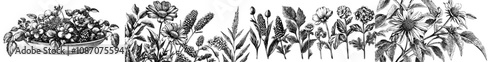 Naive doodle flower. Modern sketch illustration. Set of hand-drawn botanical icons. Captivating wildflowers and plants in charcoal crayon drawing style.