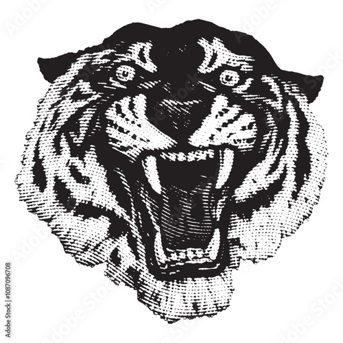 Tiger Head Roar isolated vector