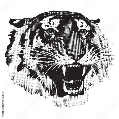 Tiger Head Roar isolated vector