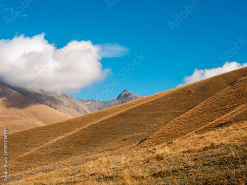 Autumn golden hills with stone peak on blue sky and cloud background on sunny day, walking view at Juta, Georgia. Brown and yellow colors of clean grass on small mountain, beauty landscape.