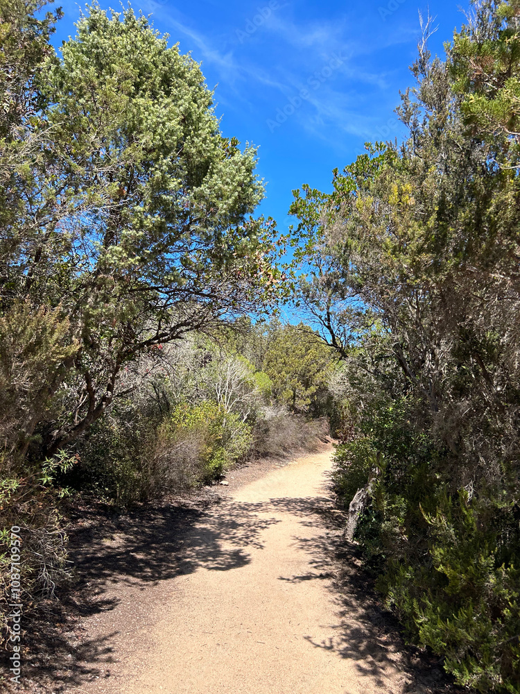 Fototapeta premium italian island hike