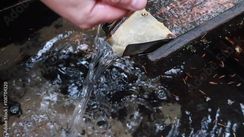 Man taking clear drinking water from a stream in forest. Close-up hand