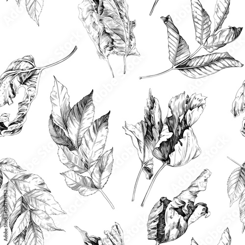 Seamless pattern with hand drawn black and white dry leaves isolate on white on white background.