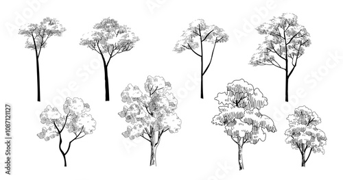 Set of trees element line drawing engraving symbol sign and icon for architecture and landscape project design. Nature graphic collection.